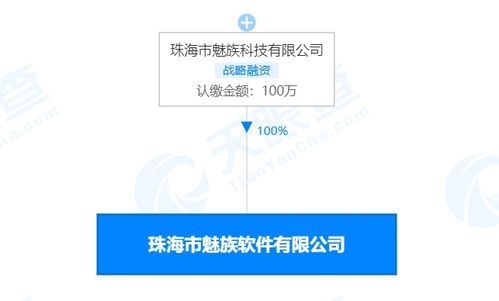 珠海市魅族軟件注銷(xiāo) 解讀其在計(jì)算機(jī)網(wǎng)絡(luò)及軟件技術(shù)開(kāi)發(fā)領(lǐng)域的轉(zhuǎn)型與影響